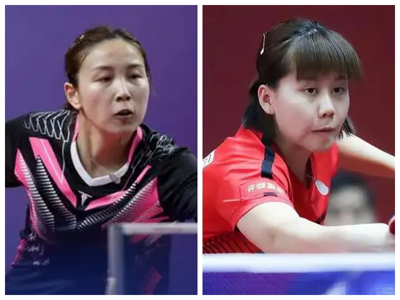 不仅展示了 不仅展示了