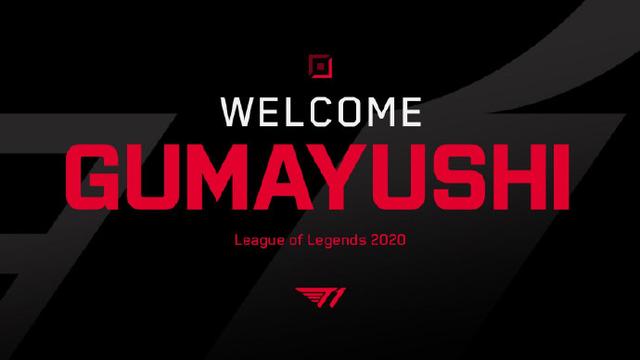 出售年轻球 出售年轻球